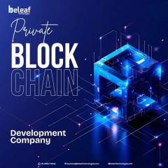 Private Blockchain Development Company