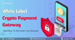 White Label Crypto Payment Gateway - Coinsclone